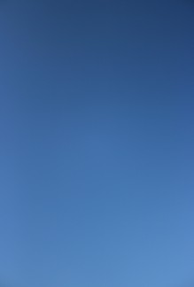 Out of the Blue, Ackroyd & Harvey, 2011