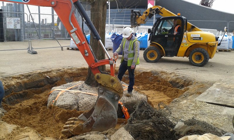 Filling in tree pit