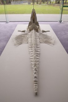 Stranded, 2006